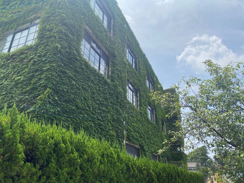 The old Takarazuka school covered in leaves