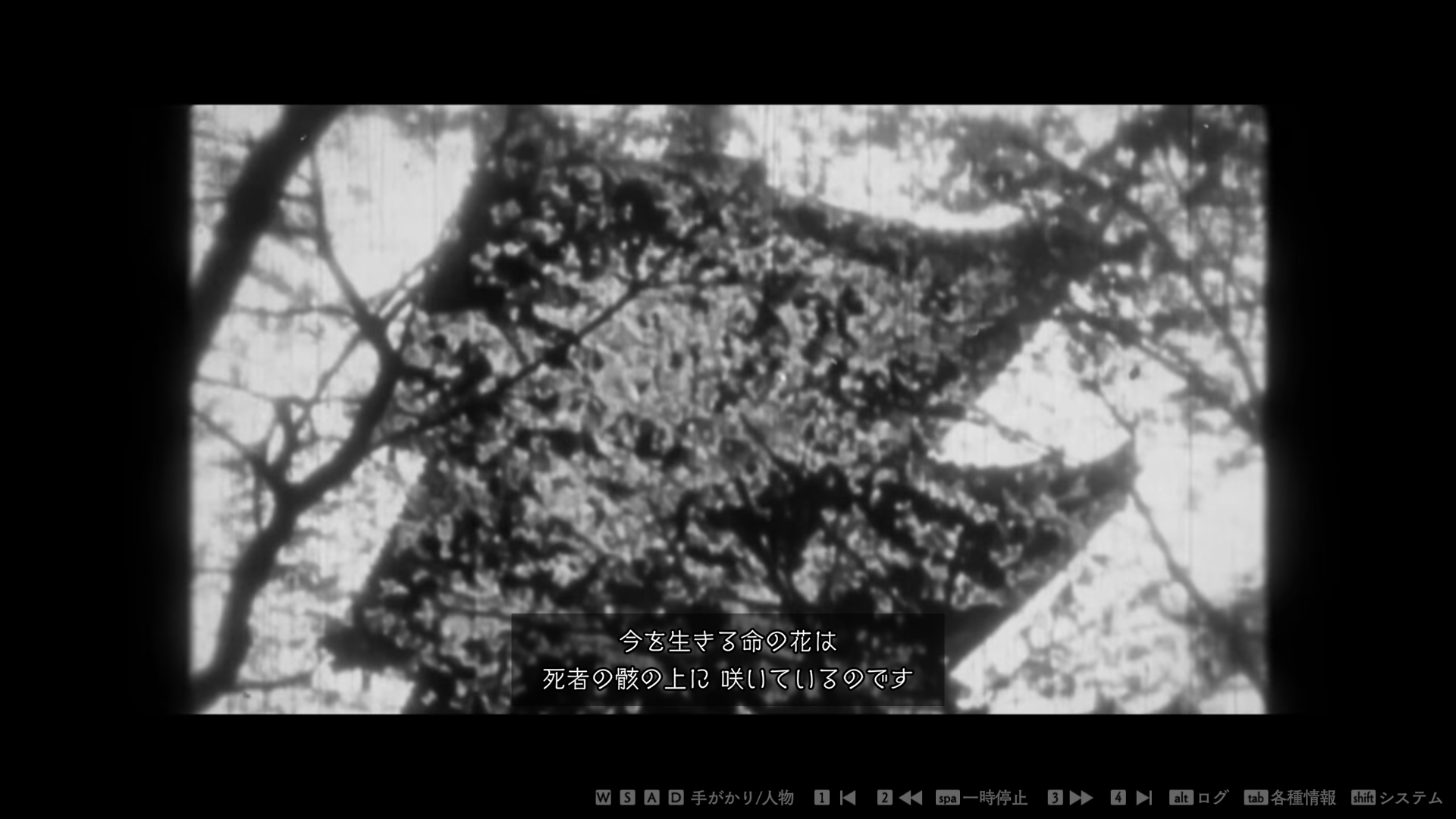 A stock footage of a flower with the subtitle describing how the flowers of life are blooming above the corpses.